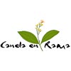 Catering Canela en Rama